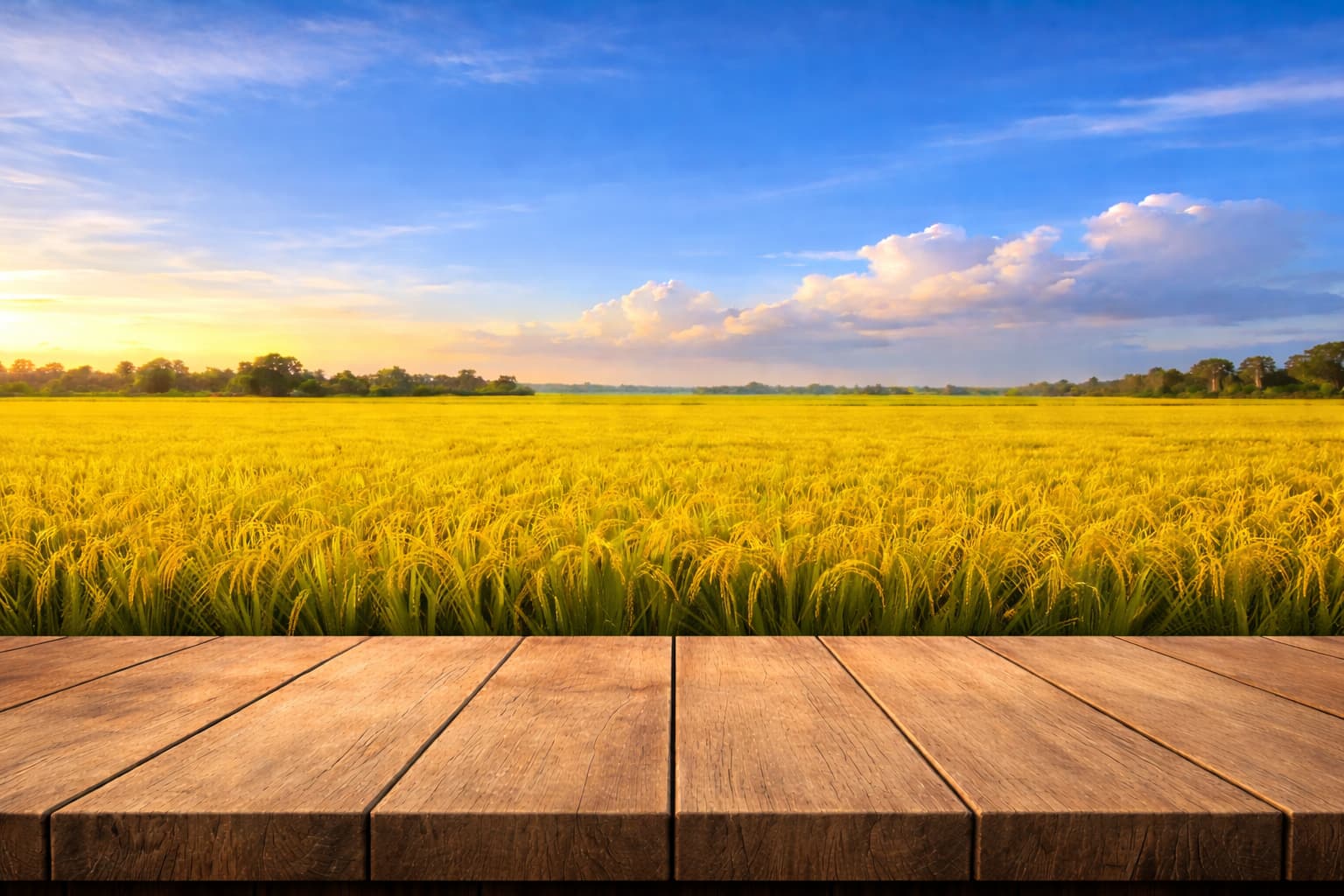 Food showcase background desktop